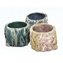 the Pet Factory Rootpot 6cm pots