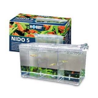 Hobby Nido 5 Ablaichbehälter (26x14x13cm)