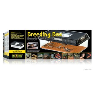 Exo Terra Breeding Box, Brutbox L (415x265x148mm)