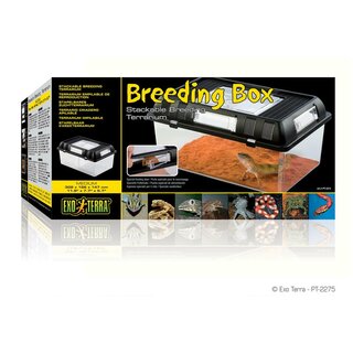 Exo Terra Breeding Box, Brutbox M (302x196x147 mm)