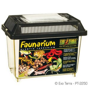 Exo Terra Faunarium mini (180x110x125mm)