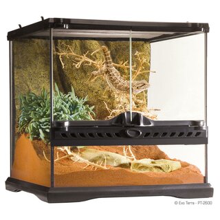 Exo Terra Glas Terrarium 30x30x30cm inkl. Rckwand