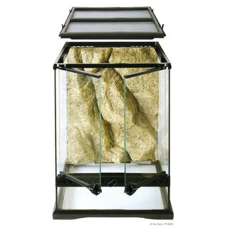 Exo Terra Glas Terrarium 30x30x45cm inkl. Rckwand