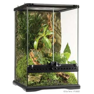 Exo Terra Glas Terrarium 30x30x45cm inkl. Rckwand