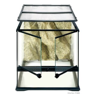 Exo Terra Glas Terrarium 45x45x45cm inkl. Rckwand