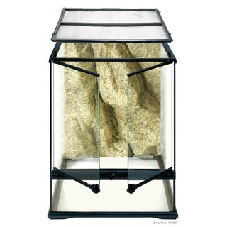 Exo Terra Glas Terrarium 45x45x60cm inkl. Rckwand