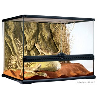 Exo Terra Glas Terrarium 60x45x45cm inkl Rckwand