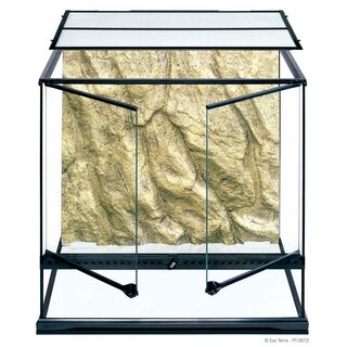 Exo Terra Glas Terrarium 60x45x60cm inkl Rckwand