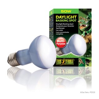 Exo Terra Neodymium Tageslichtlampe Sun Glo Spot R20/50W