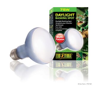 Exo Terra Neodymium Tageslichtlampe Sun Glo Spot R20/75W